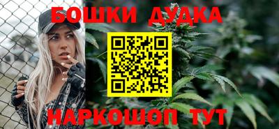амф Новокубанск