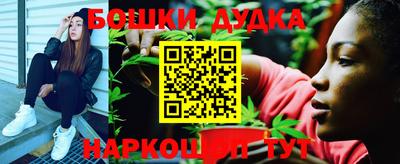 амф Новокубанск