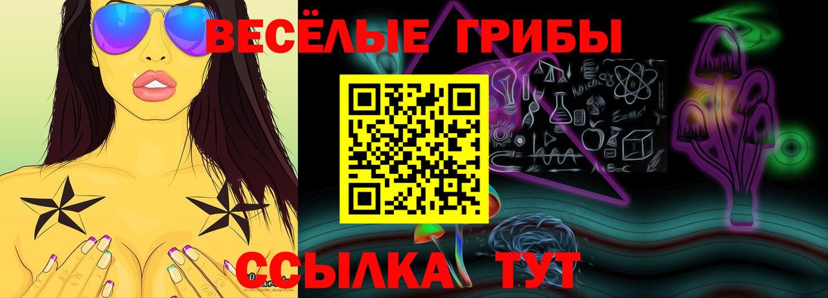Галлюциногенные грибы Psilocybine cubensis  Вход с VPN  Обнинск 
